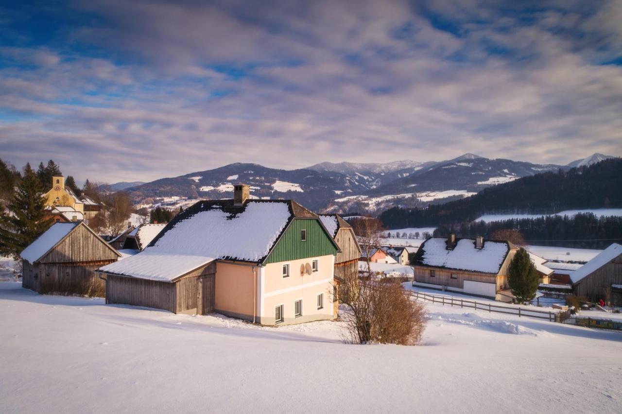 Ferienhaus Schwoellerbauer Sankt Martin am Grimming Buitenkant foto